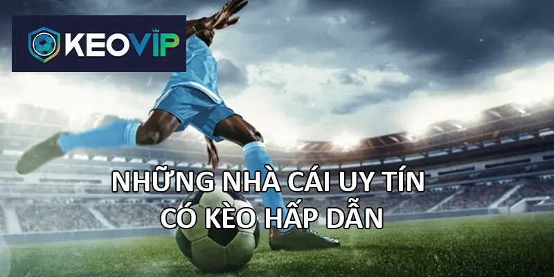 Các nhà cái được đánh giá cao 