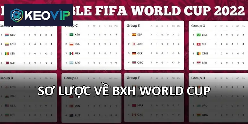 BXH World Cup các đội tuyển dựa trên thành tích trong vòng loại và VCK